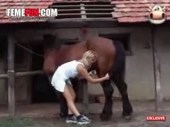 Girl with fantastic body beastiality newcomer blowing and sucking a horse cock 